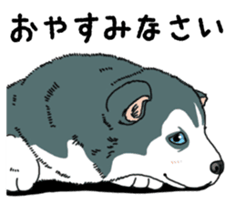 Wanko-Biyori Puppy of Siberian husky sticker #12980876