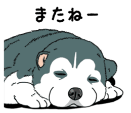 Wanko-Biyori Puppy of Siberian husky sticker #12980877