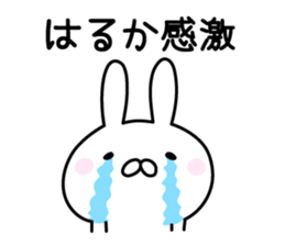 Pretty Rabbit "Haruka" sticker #12982259