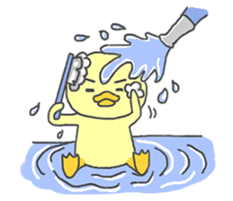 P'duck sticker #12983897