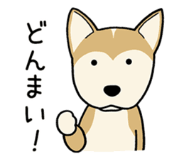 mix mix(Every day of mongrel dogs) sticker #12985782