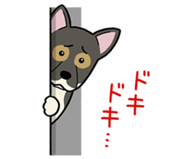 mix mix(Every day of mongrel dogs) sticker #12985786
