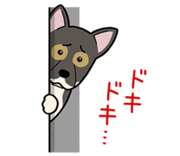 mix mix(Every day of mongrel dogs) sticker #12985786