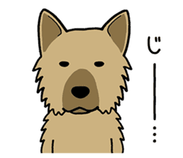 mix mix(Every day of mongrel dogs) sticker #12985794