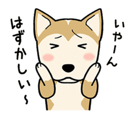 mix mix(Every day of mongrel dogs) sticker #12985803