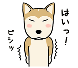 mix mix(Every day of mongrel dogs) sticker #12985814