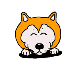 Shiba inu MOMO chan the third as well 33 sticker #12987055