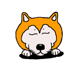 Shiba inu MOMO chan the third as well 33 sticker #12987056