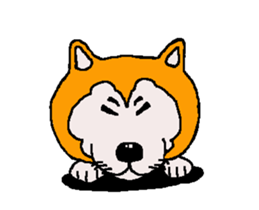 Shiba inu MOMO chan the third as well 33 sticker #12987059