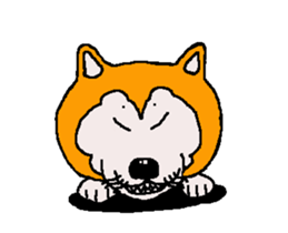 Shiba inu MOMO chan the third as well 33 sticker #12987060