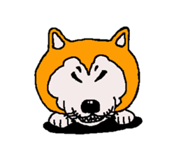 Shiba inu MOMO chan the third as well 33 sticker #12987061