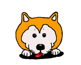 Shiba inu MOMO chan the third as well 33 sticker #12987062