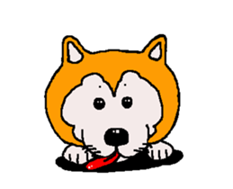 Shiba inu MOMO chan the third as well 33 sticker #12987063