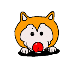 Shiba inu MOMO chan the third as well 33 sticker #12987064