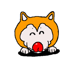 Shiba inu MOMO chan the third as well 33 sticker #12987065