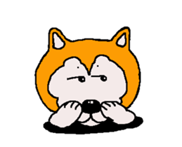 Shiba inu MOMO chan the third as well 33 sticker #12987068
