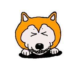 Shiba inu MOMO chan the third as well 33 sticker #12987071