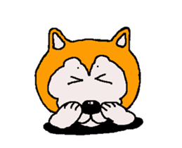 Shiba inu MOMO chan the third as well 33 sticker #12987072