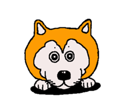 Shiba inu MOMO chan the third as well 33 sticker #12987074