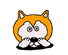 Shiba inu MOMO chan the third as well 33 sticker #12987076