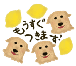 dog & fruits sticker #12987242