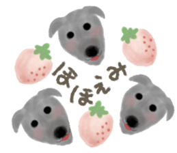 dog & fruits sticker #12987253