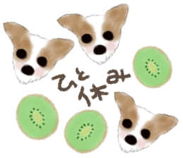 dog & fruits sticker #12987255