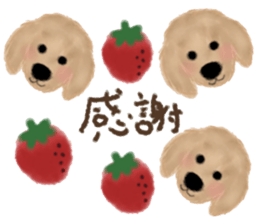 dog & fruits sticker #12987256
