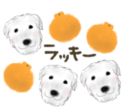 dog & fruits sticker #12987257