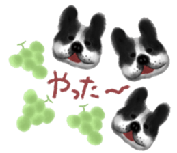 dog & fruits sticker #12987258