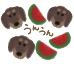 dog & fruits sticker #12987259