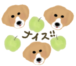 dog & fruits sticker #12987268