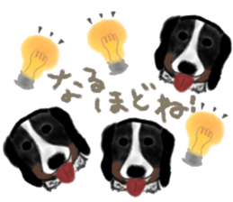 dog & fruits sticker #12987270