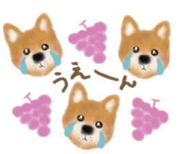 dog & fruits sticker #12987271