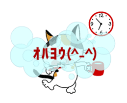 Communication of the cat/Every day/Move sticker #12987480