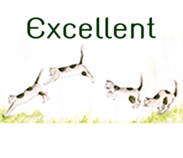 Love Cat House : Meow w Color pencil. sticker #12988224