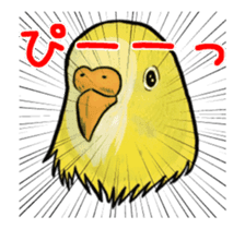 Annoying parakeet with motion!3 sticker #12991142