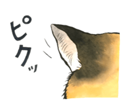 Dream cat 4 sticker #12992336