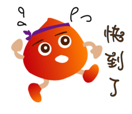 Chestnut color sticker #12995287