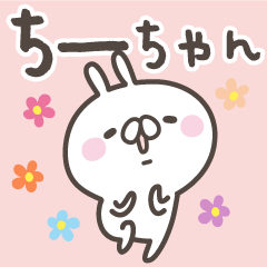 CHI-CHAN's basic pack,cute rabbit