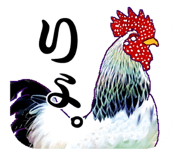 Everyday Conversation with roosters sticker #12996598