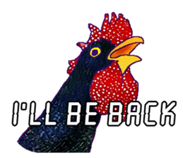 Everyday Conversation with roosters sticker #12996601