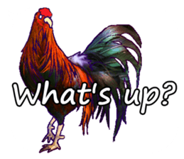 Everyday Conversation with roosters sticker #12996602