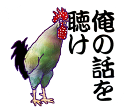 Everyday Conversation with roosters sticker #12996603