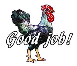 Everyday Conversation with roosters sticker #12996605