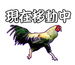 Everyday Conversation with roosters sticker #12996610