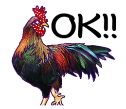 Everyday Conversation with roosters sticker #12996612