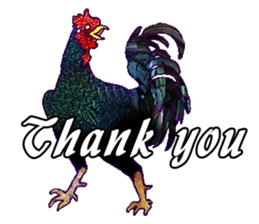 Everyday Conversation with roosters sticker #12996618
