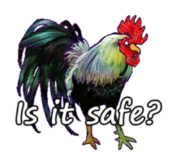Everyday Conversation with roosters sticker #12996619