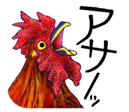 Everyday Conversation with roosters sticker #12996622